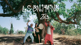 Les Benjamins - 